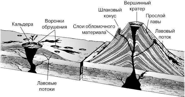 ЩИТОВОЙ ВУЛКАН (слева) с большим кратером (кальдерой), и тонким покровом застывшей лавы на поверхности. Излияния лавы могут происходить из кратера на вершине или через трещины на склонах. Внутри кальдеры, а также на склонах щитового вулкана встречаются воронки обрушения.Конус стратовулкана (справа) состоит из чередующихся слоев лавы, пепла, шлаков и более крупных обломков. На склоне вулкана показан шлаковый конус.